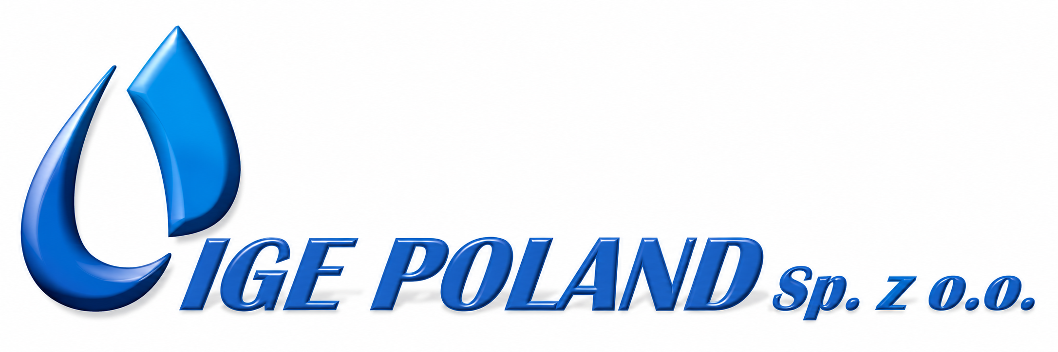Logo IGE Poland Logo IGE Poland